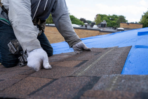 Roof Gutter Cleaning in Bonnetsville, NC